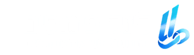 לינק פיננסים